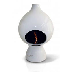 Arabo Gigante Camino in...